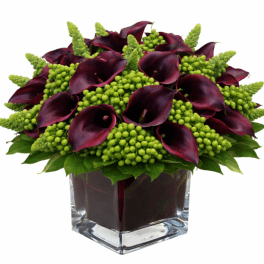 Dark calla lilies and green berries in a square glass vase