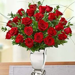 Red roses arranged in a white vase