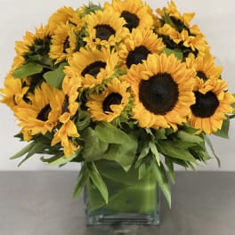 Sunshine in Vase