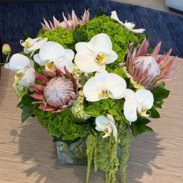 Emerald Muse™