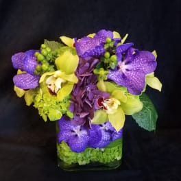 Purple and yellow orchid arrangement in a square glass vase