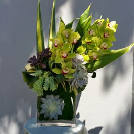 Green orchid and succulent arrangement in a clear rectangular vase