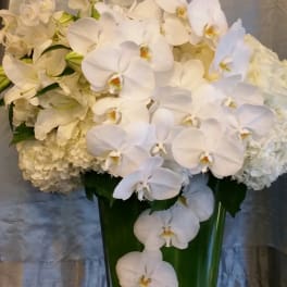 White orchids and hydrangeas arranged in a tall green vase