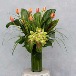 Orange tulips and green orchids in a tall glass vase