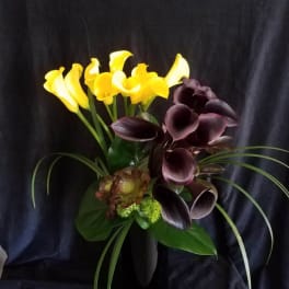 Bouquet of yellow and dark purple calla lilies in a black vase