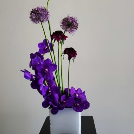Purple orchids and allium stems arranged in a white square vase