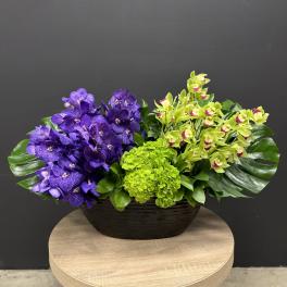 Luxe Violet