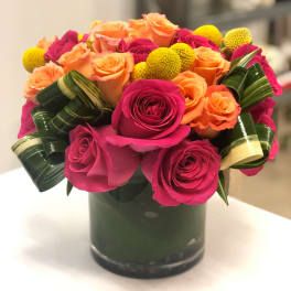 Compact arrangement of hot pink and orange roses with yellow accents in a glass cylinder vase