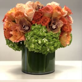 Compact arrangement of orange roses, orchids and green hydrangeas in a glass cylinder vase