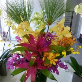Tropical orchid arrangement in a clear glass vase with pink and yellow blooms