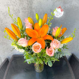Peach Glow