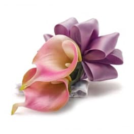 Pink and purple calla lily bouquet on a white background