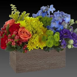 Color Of Love