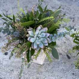 Succulent arrangement with eucalyptus and mixed greenery in a white container