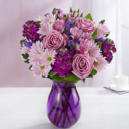 Lavender Blooms