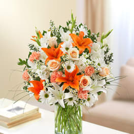 Sincerest Sorrow - Peach, Orange and White