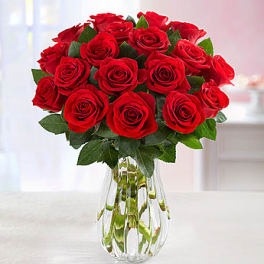Red Roses, 18 Stems