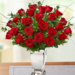 Premium Long Stem Red Roses in Silver Vase
