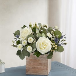 White roses and small white daisies in a wooden box