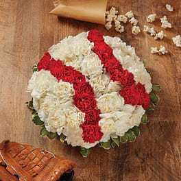 MVP Baseball Collection for Father's Day