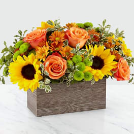 Happy Harvest Garden
