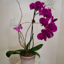 Potted purple orchid with a decorative butterfly accent
