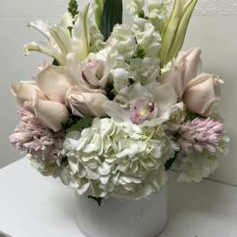 Angels in Bloom