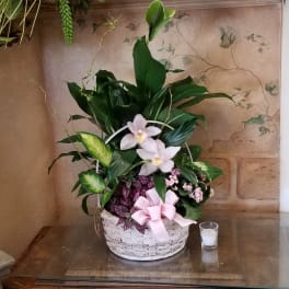 Basket arrangement with white orchids, pink flowers, and a pink ribbon