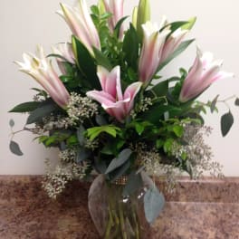 Stargazer Lilies