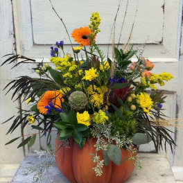 Mixed orange and yellow flowers arranged in a pumpkin-shaped container