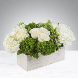 The Hamptons by BloomNation™