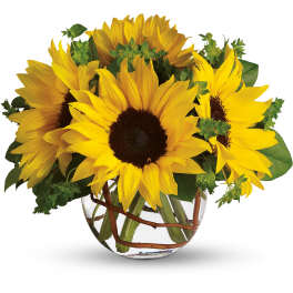 Sunny Sunflower by Teleflora