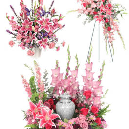 Reminiscence Sympathy Collection