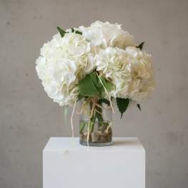 Carnton Hydrangea Cluster in white