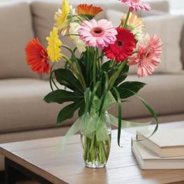 Dozen Gerbera Daisies