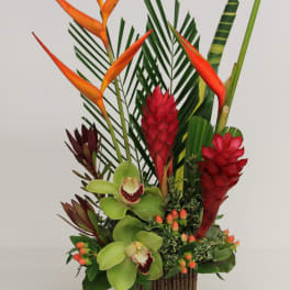 Simply Tropical