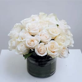 2 Dozen White Rose Bouquet