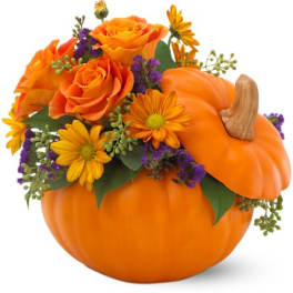 Orange roses and daisies arranged in a pumpkin container