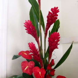 Totally Tropical