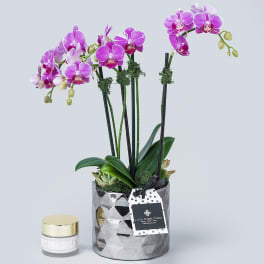 Purple orchids in a silver pot beside a small candle jar
