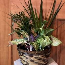 Blooming Basket