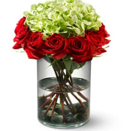 Ring of Fire - TFWEB117