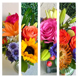 DESIGNER CHOICE-BRIGHT