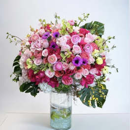 Pink Dragon