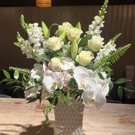 White Orchid Dreams