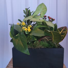 European Garden