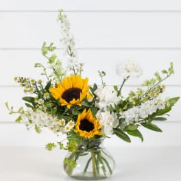 Sunny Meadow