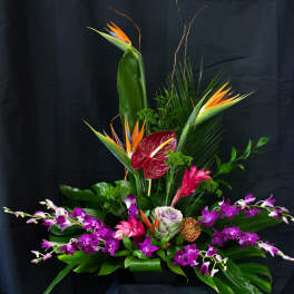 Tropical floral arrangement with orchids, anthurium, and bird of paradise