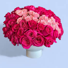 Bouquet of pink and hot pink roses in a white vase