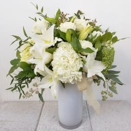 Graceful Whites